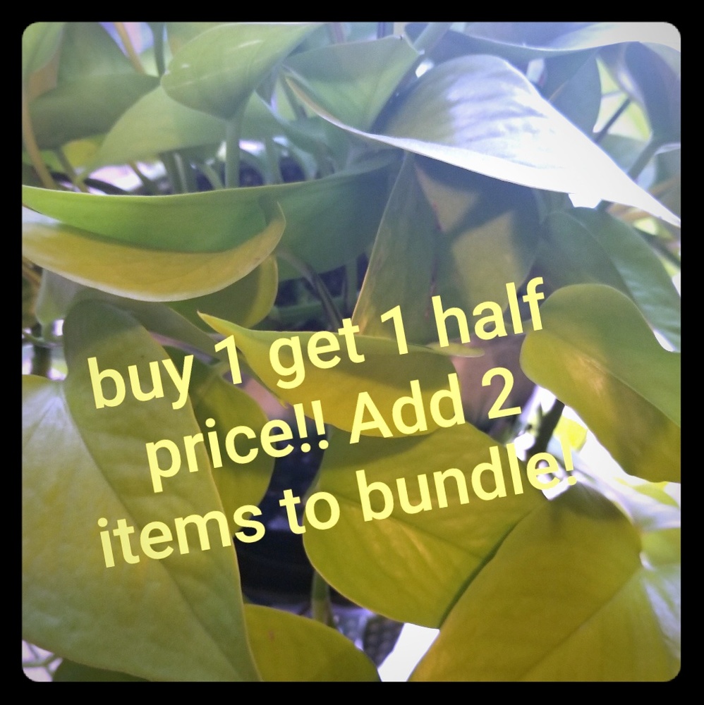50% discount